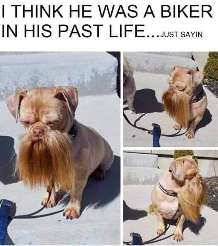 Click image for larger version

Name:	130020543_1430301087164953_2054635529178899187_n.jpg
Views:	119
Size:	80.7 KB
ID:	6726