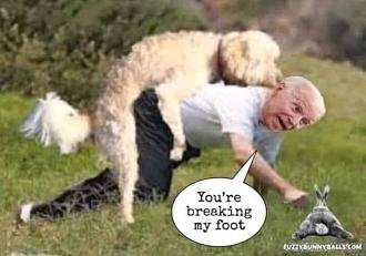 Click image for larger version

Name:	BD40978B-9174-42F1-B849-EBCBD5F29635.jpeg
Views:	162
Size:	110.6 KB
ID:	6842