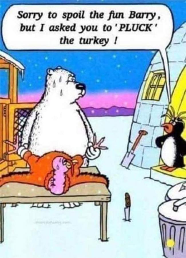 Click image for larger version

Name:	FB_IMG_1605234026735.jpg
Views:	130
Size:	71.0 KB
ID:	6872