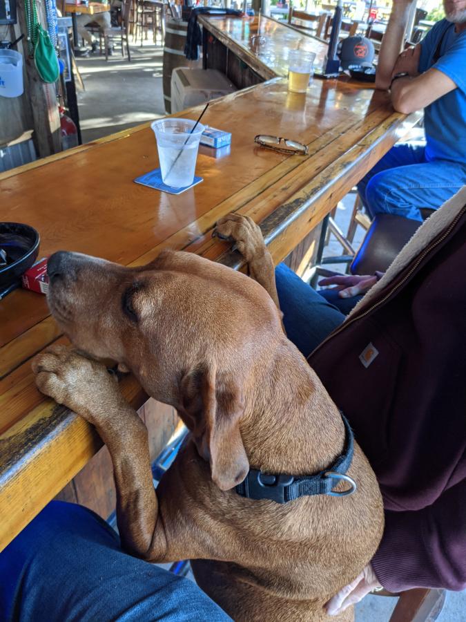 Click image for larger version

Name:	IMG_20201211_154858.jpg
Views:	142
Size:	108.9 KB
ID:	6997