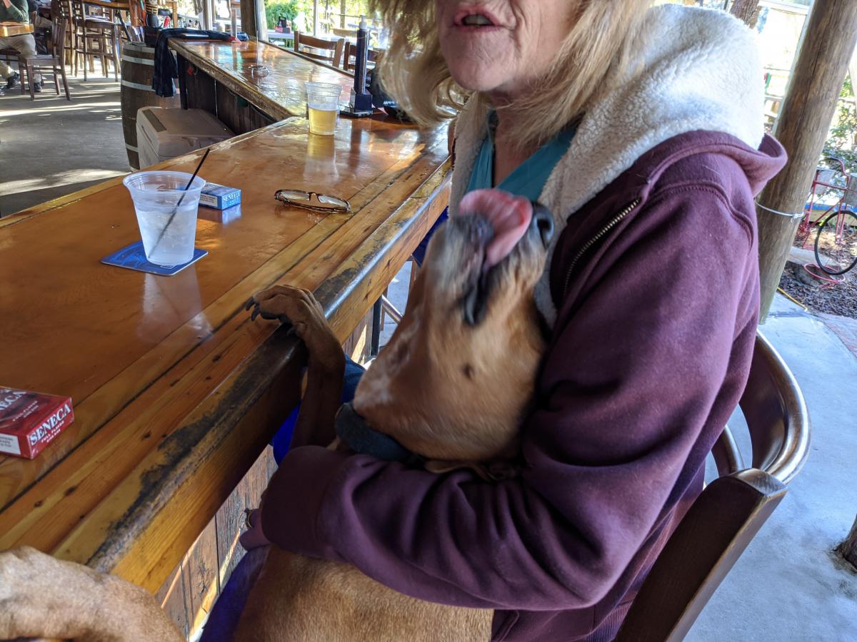 Click image for larger version

Name:	IMG_20201211_154905.jpg
Views:	127
Size:	158.7 KB
ID:	6998