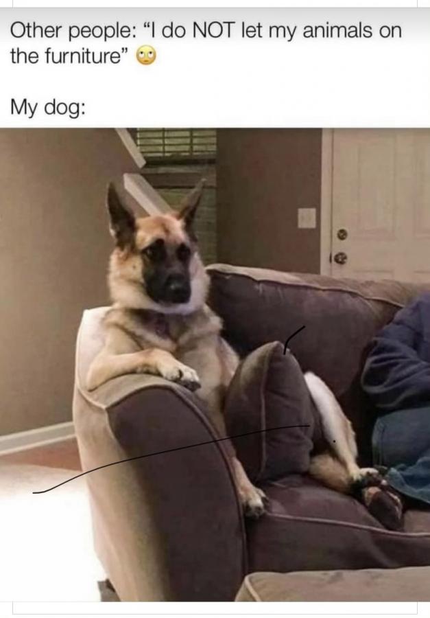 Click image for larger version

Name:	FFD6BDD3-12D8-4D6E-92F8-FFC163EBB23B.jpeg
Views:	126
Size:	47.3 KB
ID:	7108