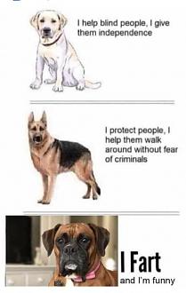 Click image for larger version

Name:	CE688B87-6BE2-4EF8-8BB1-059AD80B0F1A.jpeg
Views:	339
Size:	39.8 KB
ID:	7231