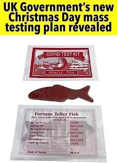 Click image for larger version

Name:	IMG-20201222-WA0004.jpg
Views:	321
Size:	68.8 KB
ID:	7423