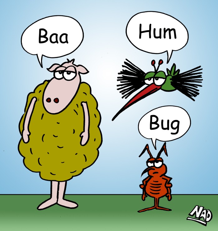 Click image for larger version

Name:	bah-humbug.jpg?w=700.jpg
Views:	82
Size:	94.8 KB
ID:	7507