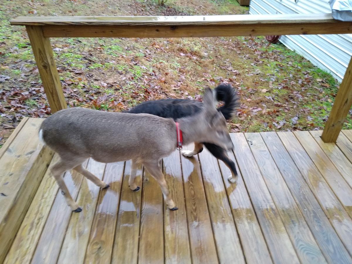 Click image for larger version

Name:	IMG_20201224_122959905.jpg
Views:	127
Size:	191.2 KB
ID:	7535