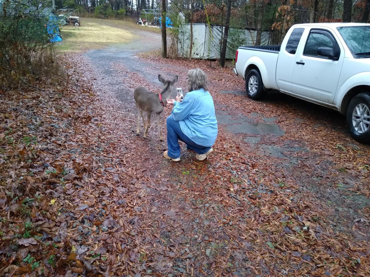 Click image for larger version

Name:	IMG_20201224_123619668.jpg
Views:	102
Size:	307.1 KB
ID:	7537