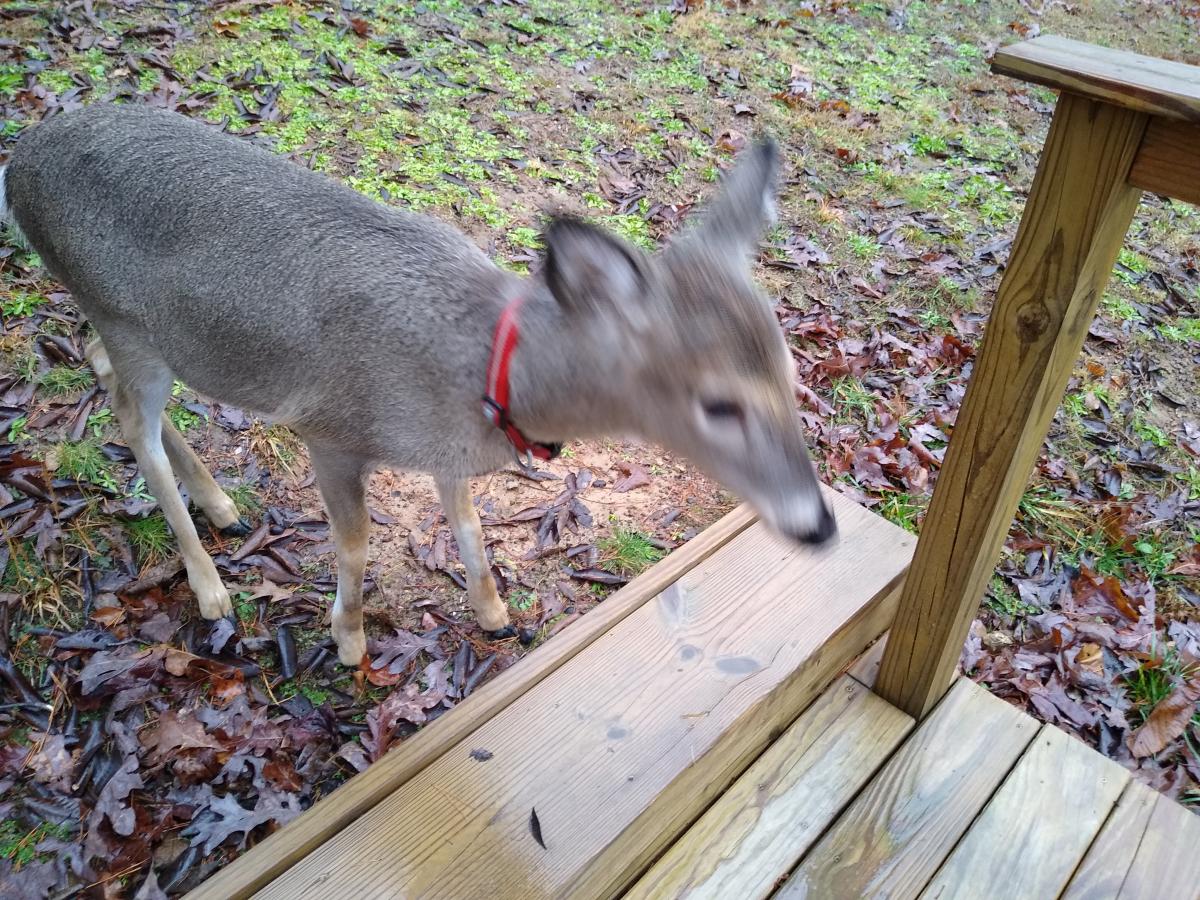 Click image for larger version

Name:	IMG_20201224_122943606_MP.jpg
Views:	105
Size:	268.2 KB
ID:	7538