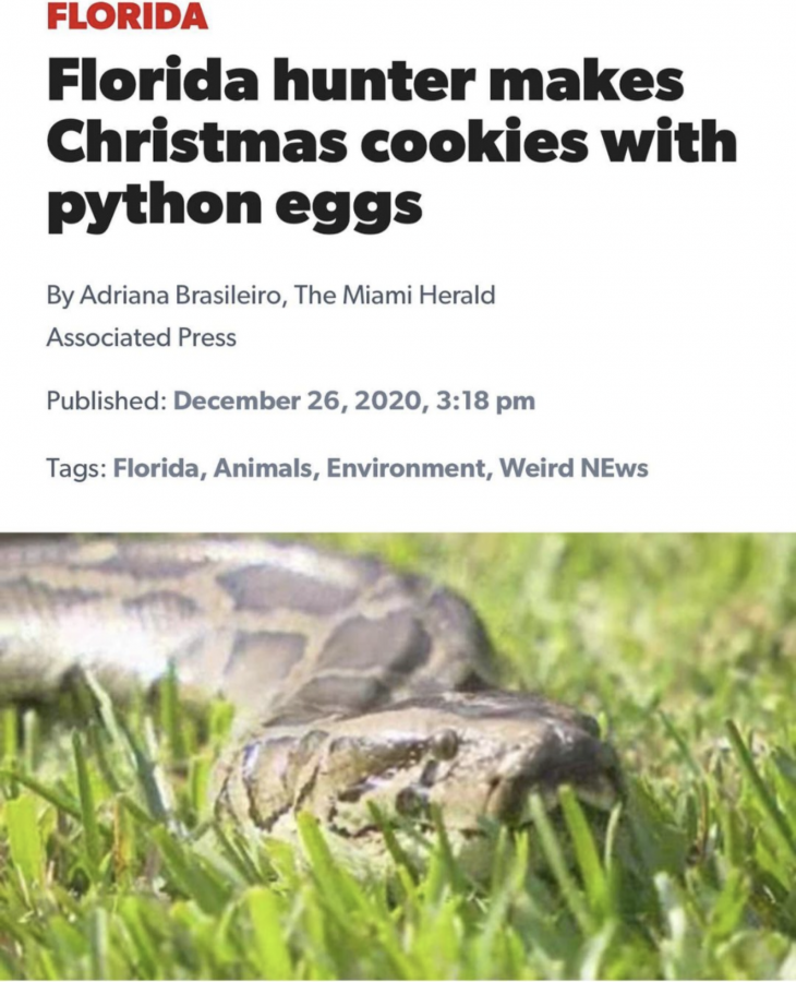 Click image for larger version

Name:	Screenshot_20201227-202009.png
Views:	193
Size:	702.1 KB
ID:	7745