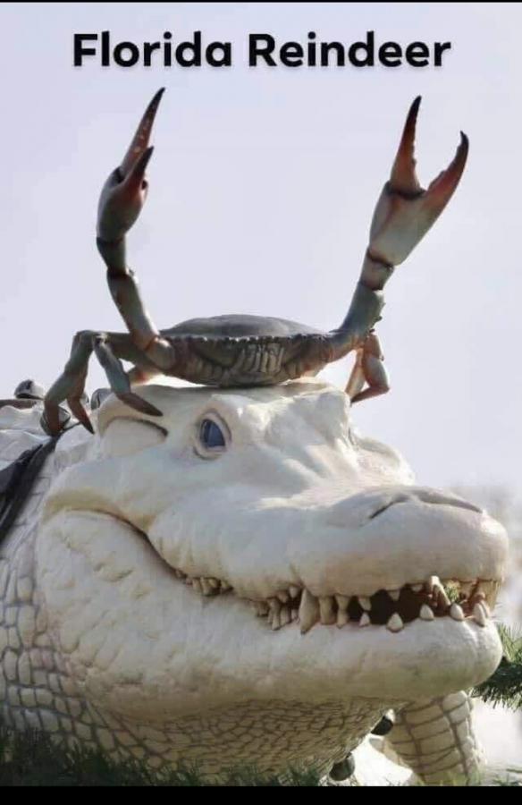 Click image for larger version

Name:	1774D97F-3769-4B2F-93F2-BE92A2B14074.jpeg
Views:	214
Size:	48.1 KB
ID:	7800