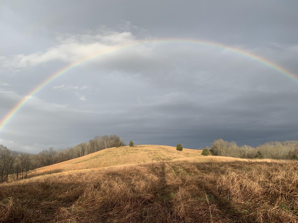 Click image for larger version

Name:	45F7EB61-2553-4D8A-BAAB-A439EA5A706F.jpeg
Views:	204
Size:	126.5 KB
ID:	8132