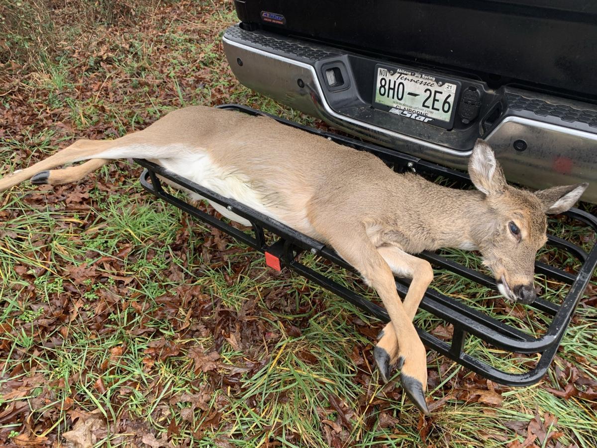 Click image for larger version

Name:	764B8F56-0E2D-4079-B5CE-9E4B1BB1DE6F.jpeg
Views:	201
Size:	288.8 KB
ID:	8134