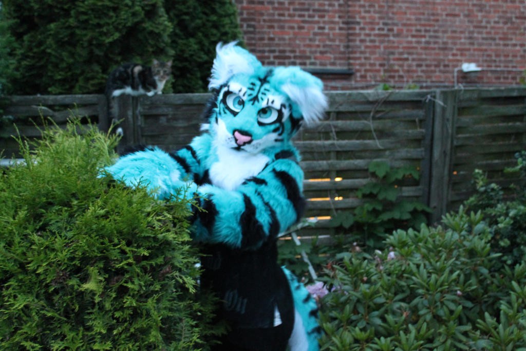 Click image for larger version

Name:	_sold__blue_tiger_fursuit_partial_by_withcandydancing-d91eshd.jpg?token=eyJ0eXAiOiJKV1QiLCJhbGciOiJIUzI1NiJ9.eyJpc3MiOiJ1cm46YXBwOjdlMGQxODg5ODIyNjQzNzNhNWYwZDQxNWVhMGQyNmUwIiwic3ViIjoidXJuOmFwcDo3ZTBkMTg4OTgyMjY0MzczYTVmMGQ0MTVlYTBkMjZlMCIsImF1ZCI6WyJ1cm
Views:	81
Size:	153.3 KB
ID:	8476
