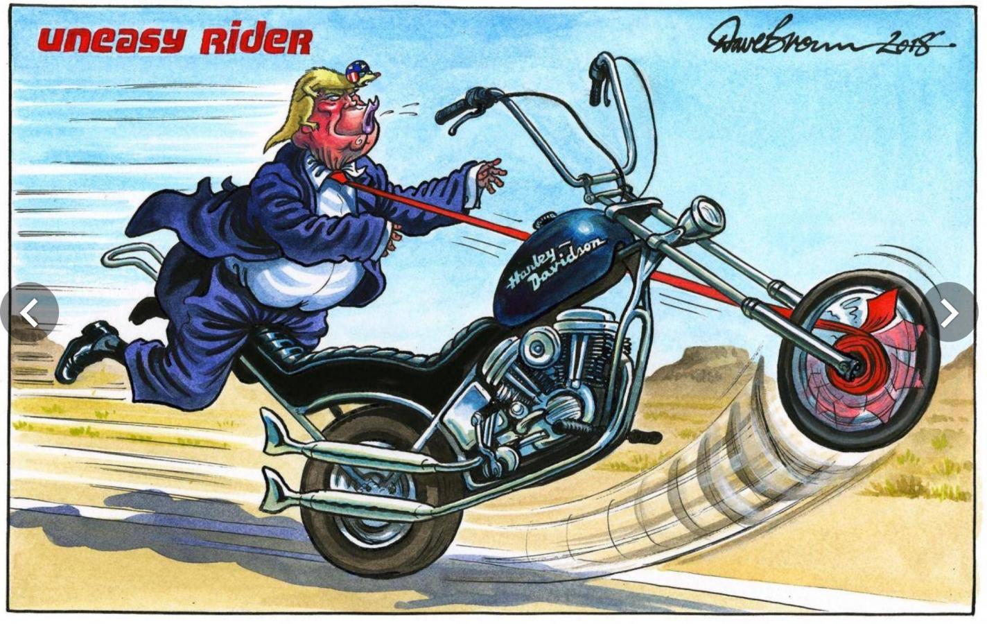 Click image for larger version  Name:	image_1910.jpg Views:	3 Size:	234.7 KB ID:	8826