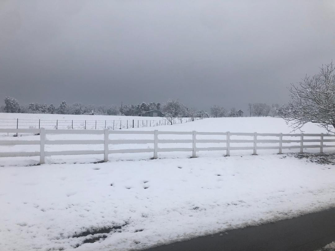 Click image for larger version

Name:	785F9E55-41F6-4FFC-86EC-D42258D6DCE3.jpeg
Views:	113
Size:	95.4 KB
ID:	8853