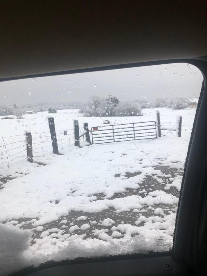 Click image for larger version

Name:	149A7ECC-0F86-4580-BDE8-8E1FB35F6CF1.jpeg
Views:	111
Size:	61.2 KB
ID:	8854