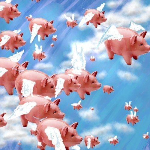 Click image for larger version

Name:	Flying pigs.jpg
Views:	63
Size:	69.6 KB
ID:	9044