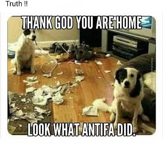 Click image for larger version

Name:	DF9E727A-2870-4B5B-90F6-1A0762A4B4C1.jpeg
Views:	328
Size:	97.7 KB
ID:	9092