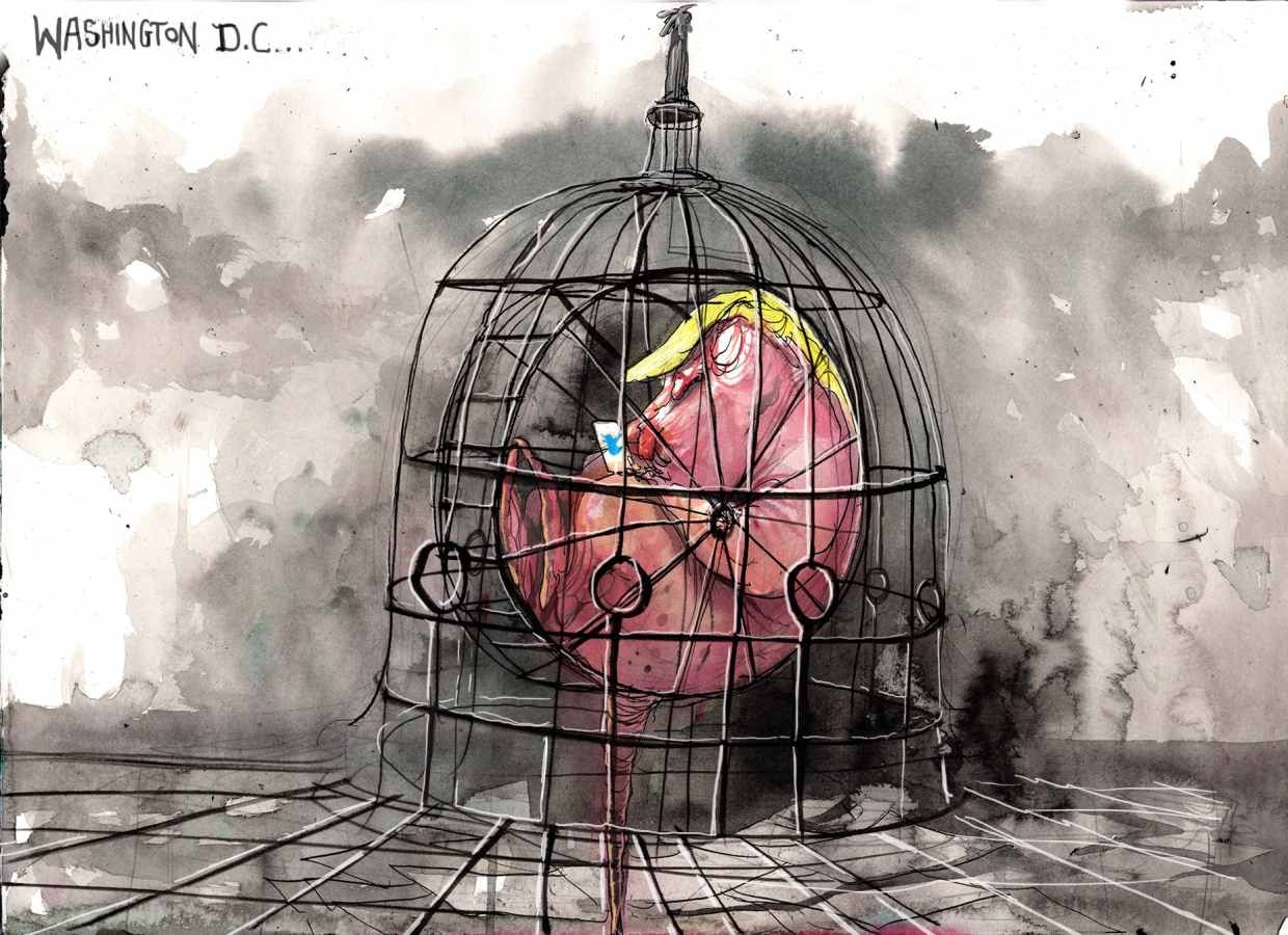 Click image for larger version

Name:	Trump Rowe 30.jpg
Views:	184
Size:	225.1 KB
ID:	9322