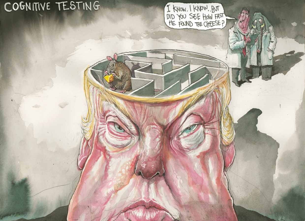 Click image for larger version

Name:	Trump Rowe 46.jpg
Views:	104
Size:	172.9 KB
ID:	9342