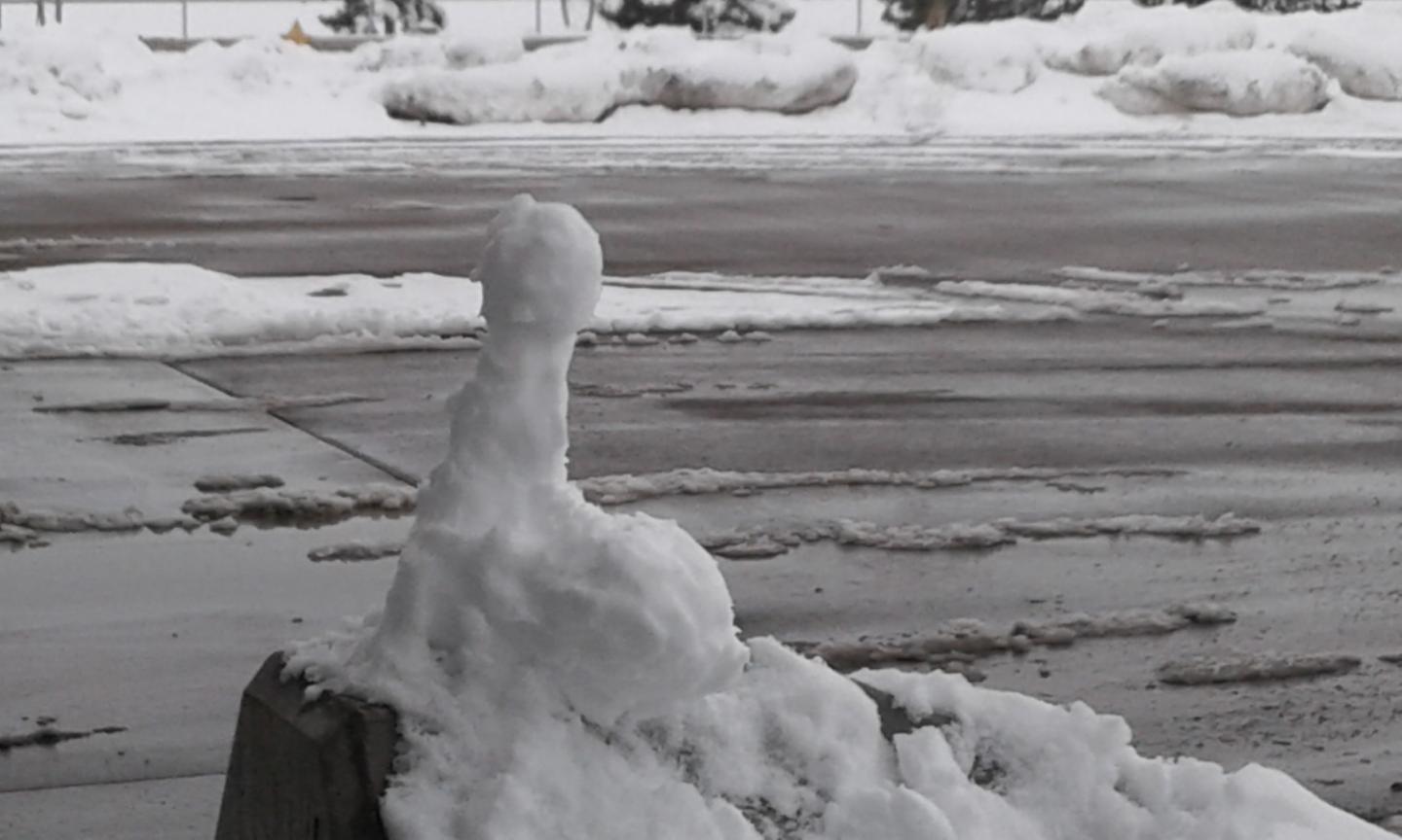 Click image for larger version  Name:	Valentines Day Snow Pecker.jpg Views:	0 Size:	97.0 KB ID:	10333