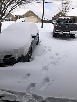 Click image for larger version

Name:	407552BE-845B-45DE-88CF-CE82BE26727B.jpeg
Views:	203
Size:	63.4 KB
ID:	10345