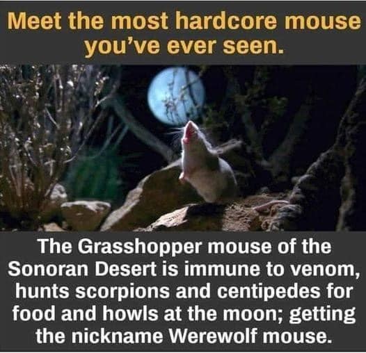 Click image for larger version  Name:	image_2190.jpg Views:	5 Size:	63.8 KB ID:	10365