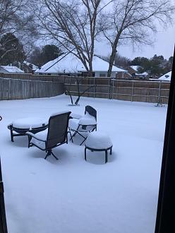 Click image for larger version

Name:	8FAF9D97-98E3-480E-A923-A3D33DDC1A5F.jpeg
Views:	208
Size:	82.0 KB
ID:	10370