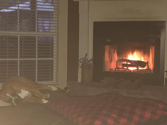 Click image for larger version

Name:	D5DF4640-97D3-4B16-A761-A1279EACE62B.jpeg
Views:	312
Size:	62.0 KB
ID:	10659