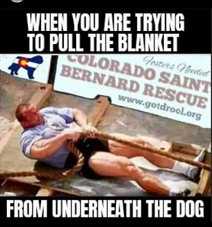 Click image for larger version

Name:	95A0CF4C-16BD-487D-99A8-F8605E2C5DC8.jpeg
Views:	302
Size:	85.7 KB
ID:	10739