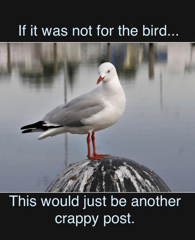 Click image for larger version

Name:	image_2273.png
Views:	133
Size:	408.8 KB
ID:	10862