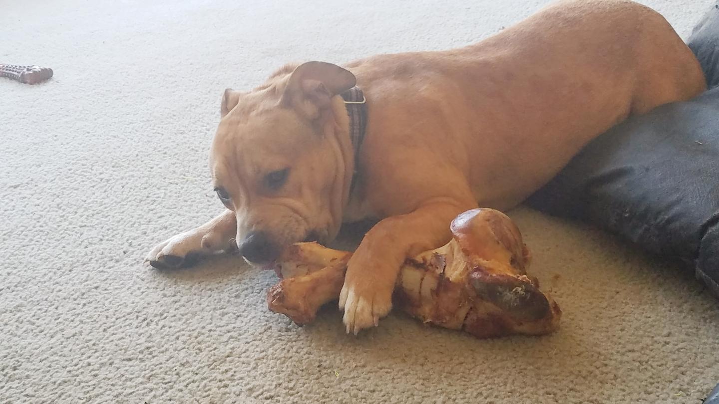 Click image for larger version

Name:	20210216_152902.jpg
Views:	157
Size:	135.8 KB
ID:	10990