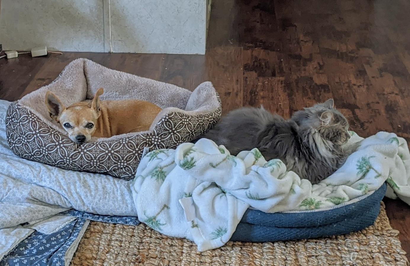 Click image for larger version

Name:	PXL_20210307_162937784.jpg
Views:	158
Size:	193.4 KB
ID:	11133