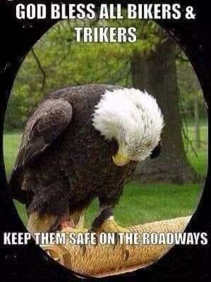 Click image for larger version

Name:	FB_IMG_1615255823932.jpg
Views:	156
Size:	32.4 KB
ID:	11233