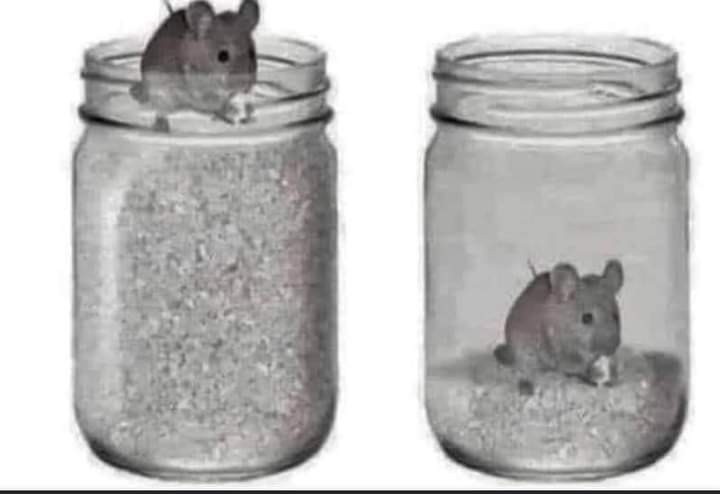 Click image for larger version

Name:	FB_IMG_1616194885622.jpg
Views:	131
Size:	36.9 KB
ID:	11651