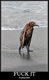 Click image for larger version

Name:	I-am-Rudy.jpg
Views:	174
Size:	56.3 KB
ID:	11664