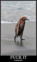 Click image for larger version

Name:	I-am-Rudy.jpg
Views:	193
Size:	56.3 KB
ID:	20322