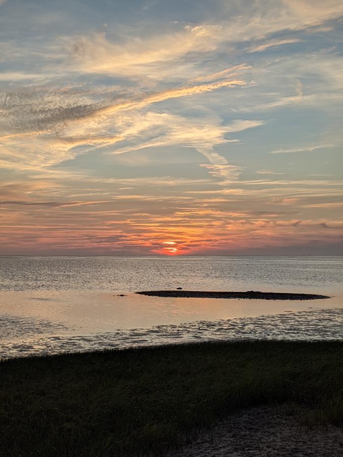 Click image for larger version

Name:	PXL_20210327_235014026.jpg
Views:	206
Size:	79.8 KB
ID:	11861