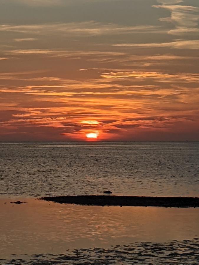 Click image for larger version

Name:	PXL_20210327_234846582.jpg
Views:	196
Size:	74.0 KB
ID:	11864