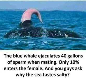Click image for larger version

Name:	093144BE-1252-4D6C-83AA-A6496041C468.jpeg
Views:	243
Size:	59.3 KB
ID:	11877