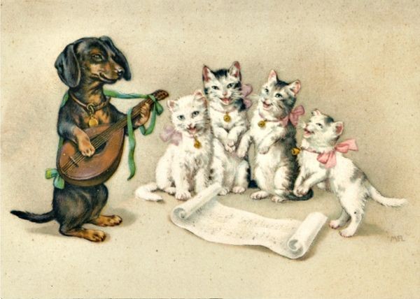 Click image for larger version

Name:	rs=w:600,h:600.jpg
Views:	92
Size:	61.1 KB
ID:	12126