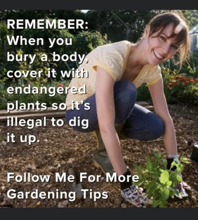 Click image for larger version

Name:	61341F3A-51FA-4013-9021-712BC5208740.jpeg
Views:	183
Size:	105.8 KB
ID:	12486