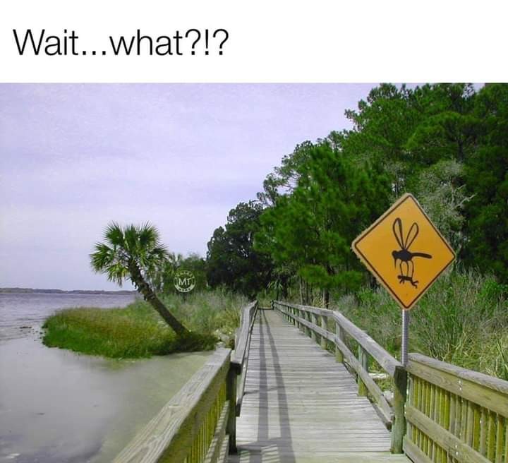 Click image for larger version

Name:	FB_IMG_1619050743317.jpg
Views:	146
Size:	80.4 KB
ID:	12737