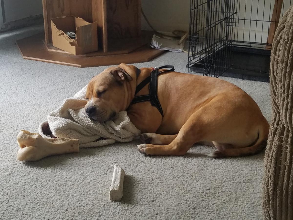 Click image for larger version

Name:	20210610_135529.jpg
Views:	135
Size:	166.6 KB
ID:	14612