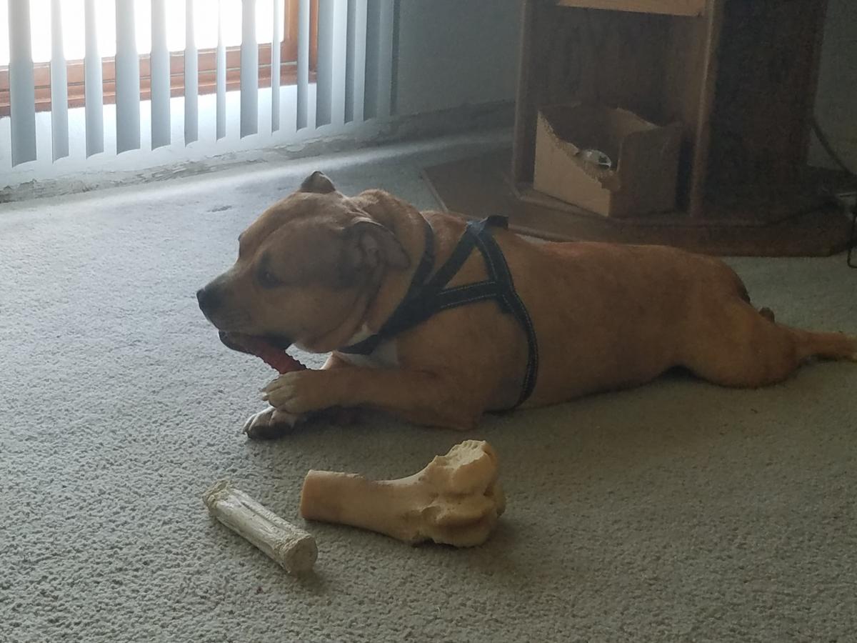 Click image for larger version

Name:	20210609_090740.jpg
Views:	133
Size:	116.8 KB
ID:	14613