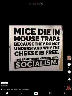 Click image for larger version

Name:	3F2EB047-DD46-418F-975B-F6F08A6A80CA.jpeg
Views:	219
Size:	50.5 KB
ID:	14778