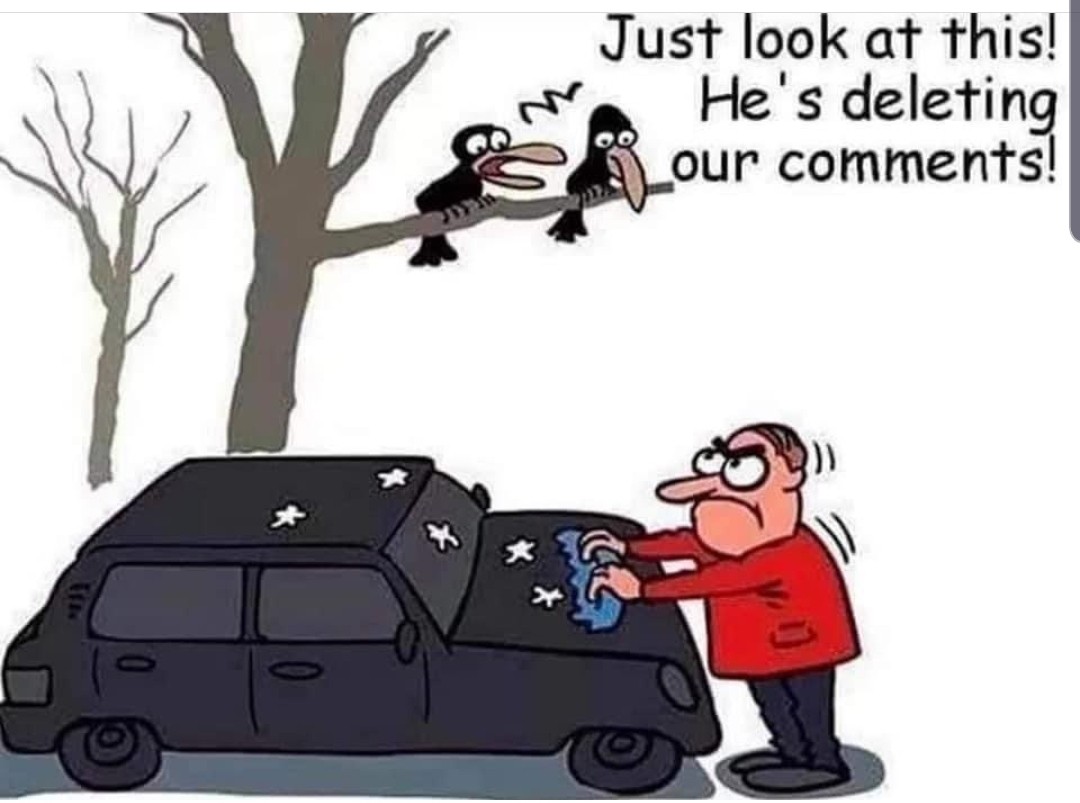 Click image for larger version

Name:	Screenshot_20210614-085348_Instagram.jpg
Views:	124
Size:	106.9 KB
ID:	14835