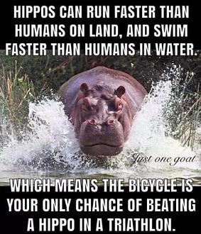 Click image for larger version

Name:	A6C6ABB5-C964-4F45-B7C0-CA661E0ABC42.jpeg
Views:	244
Size:	70.5 KB
ID:	14996