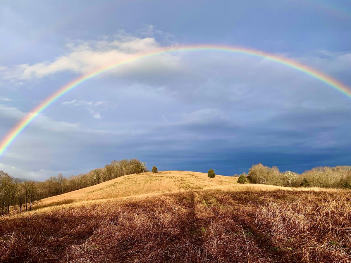 Click image for larger version

Name:	40D42CAD-C5A0-43A6-9C1C-CACFA28B95DB.jpeg
Views:	105
Size:	157.8 KB
ID:	15382