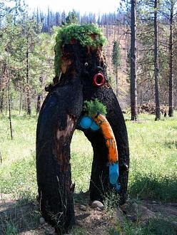 Click image for larger version

Name:	Way-Out-Phallic.jpg
Views:	232
Size:	158.9 KB
ID:	15481